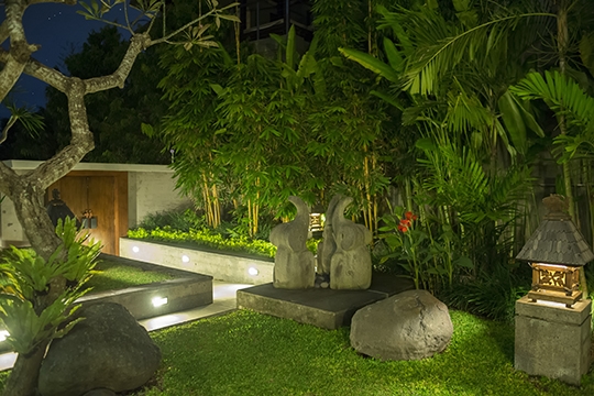 Tropical garden at night